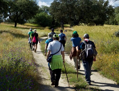 Una ruta de senderismo rural: de la “función” a la “unción”